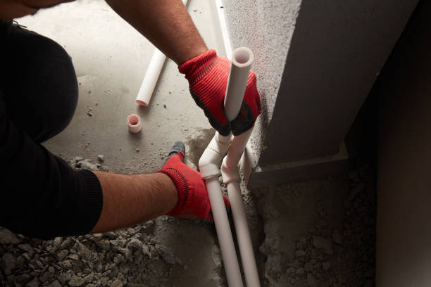 Best Local Plumber Services  in South Bend, IN